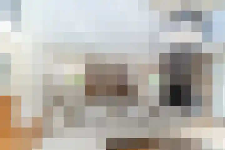 de Wilgen 5 Bergschenhoek thumbnail 6