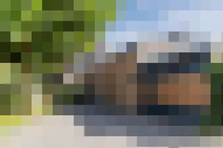 de Wilgen 5 Bergschenhoek thumbnail 60