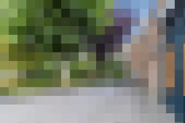 de Wilgen 5 Bergschenhoek thumbnail 61