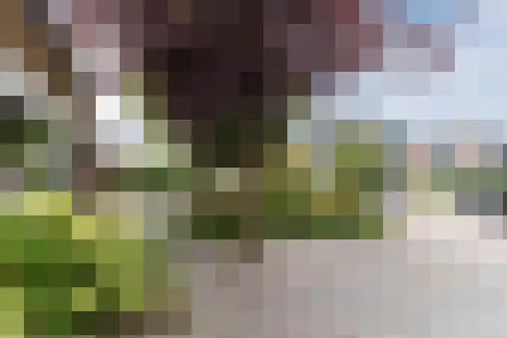 de Wilgen 5 Bergschenhoek thumbnail 62