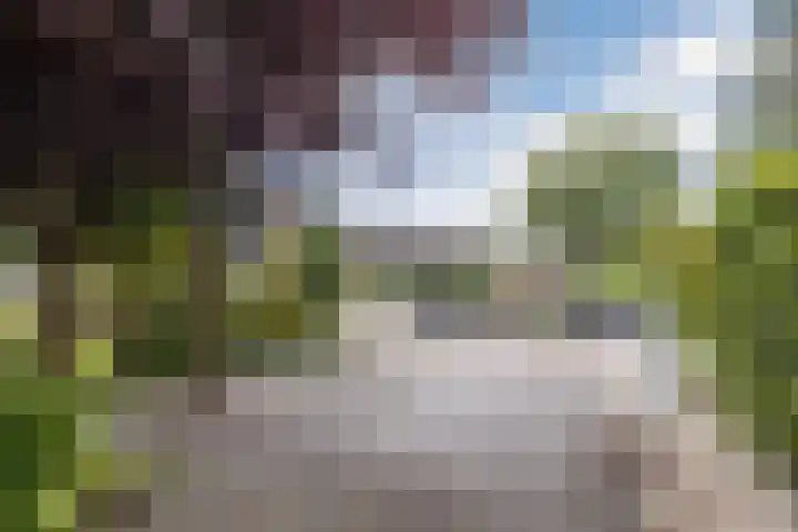 de Wilgen 5 Bergschenhoek thumbnail 63