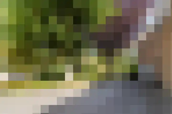 de Wilgen 5 Bergschenhoek thumbnail 64