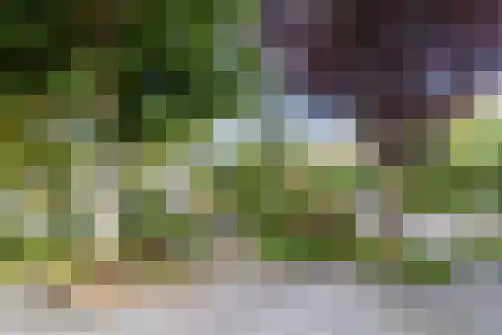 de Wilgen 5 Bergschenhoek thumbnail 65