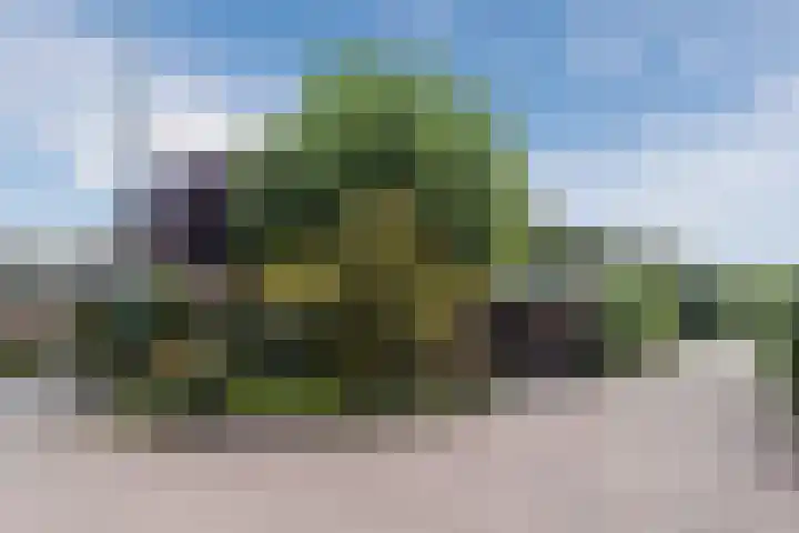de Wilgen 5 Bergschenhoek thumbnail 66