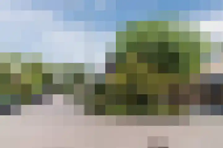 de Wilgen 5 Bergschenhoek thumbnail 67