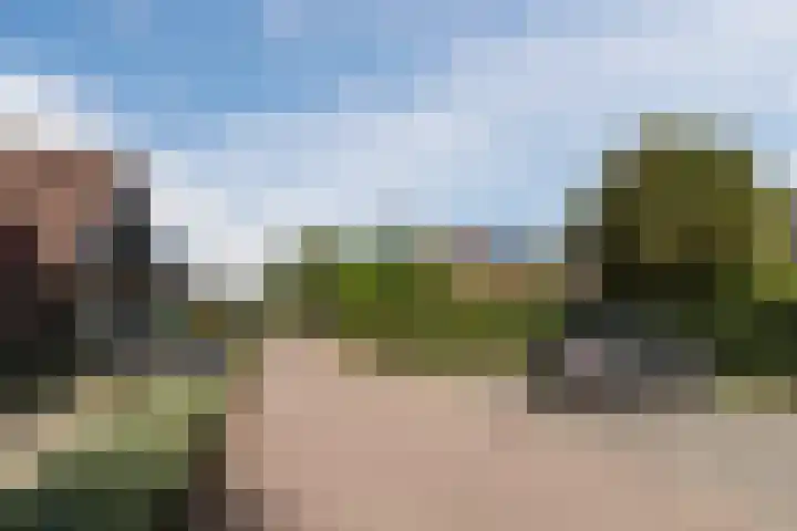 de Wilgen 5 Bergschenhoek thumbnail 68