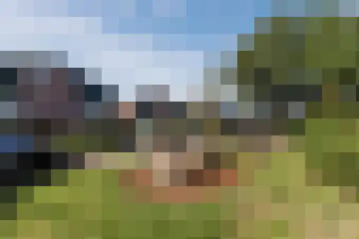 de Wilgen 5 Bergschenhoek thumbnail 69