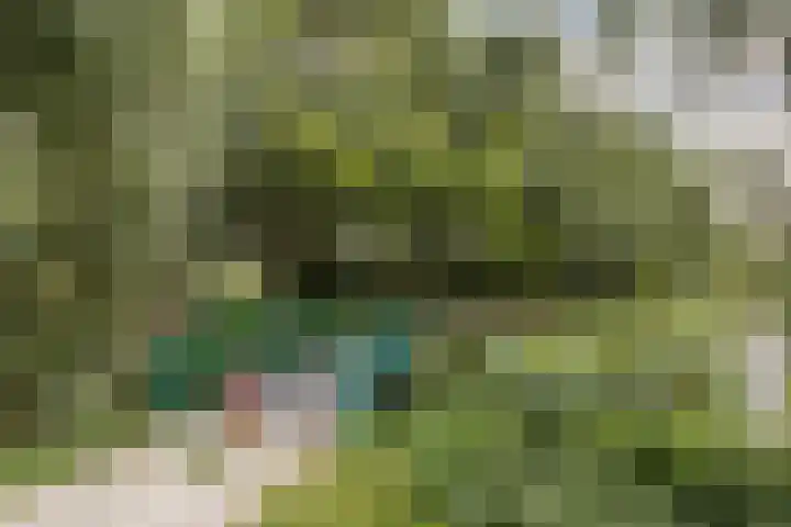 de Wilgen 5 Bergschenhoek thumbnail 70