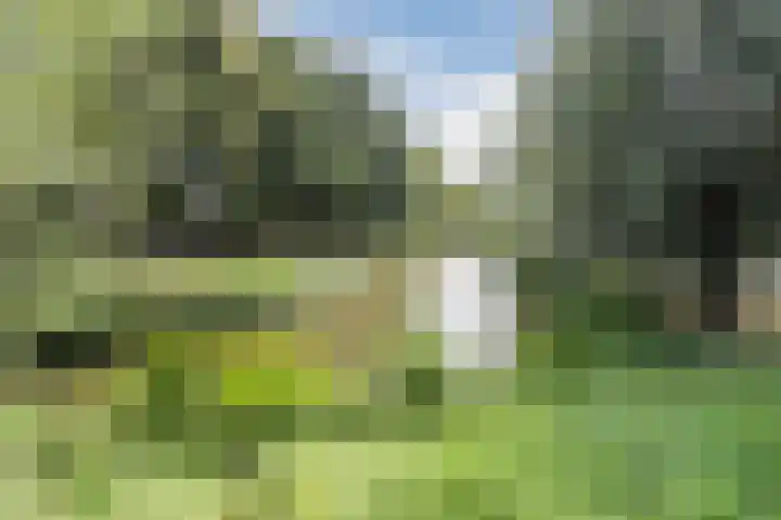de Wilgen 5 Bergschenhoek thumbnail 71