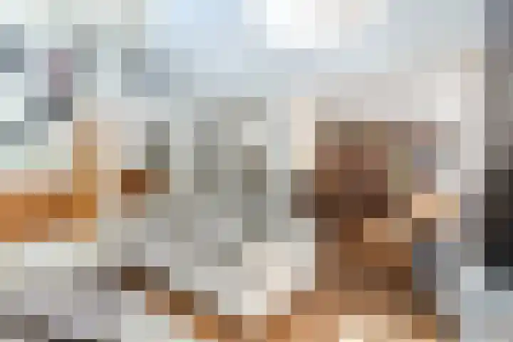 de Wilgen 5 Bergschenhoek thumbnail 8