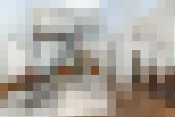 de Wilgen 5 Bergschenhoek thumbnail 9