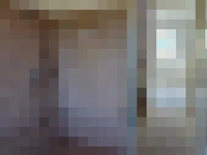 De Wilgen 6 Koekange thumbnail 12