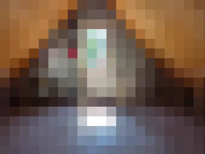 De Wilgen 6 Koekange thumbnail 13