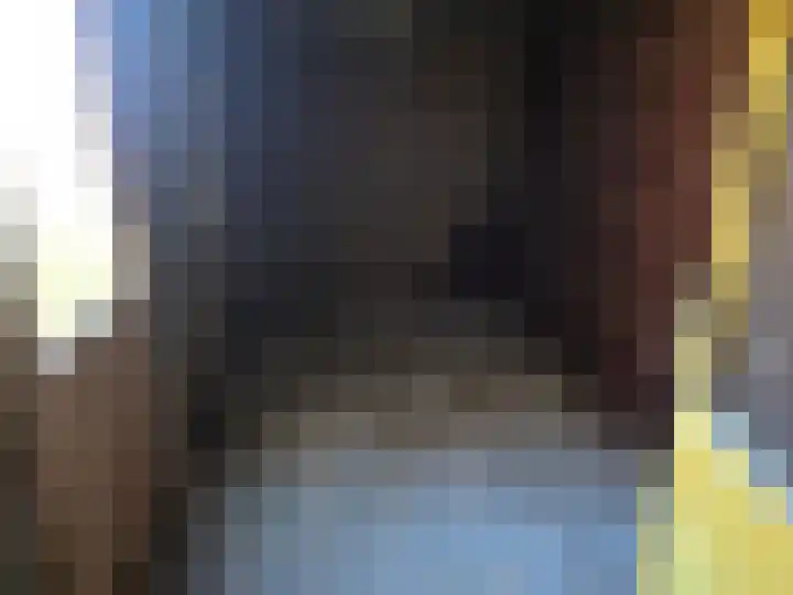 De Wilgen 6 Koekange thumbnail 15