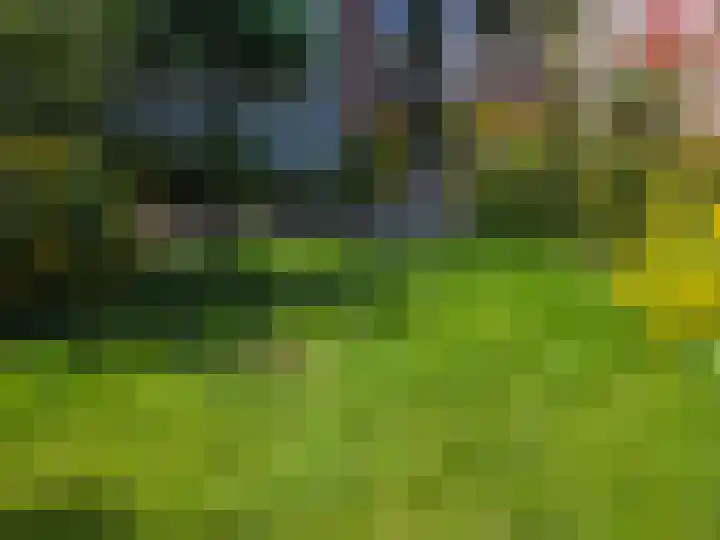 De Wilgen 6 Koekange thumbnail 16
