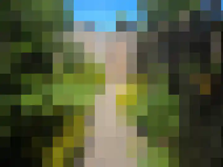 De Wilgen 6 Koekange thumbnail 17