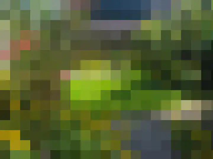 De Wilgen 6 Koekange thumbnail 18