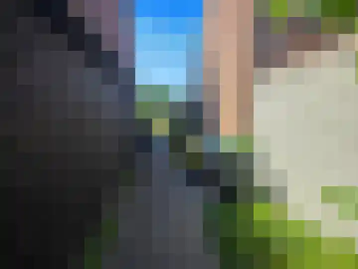 De Wilgen 6 Koekange thumbnail 19