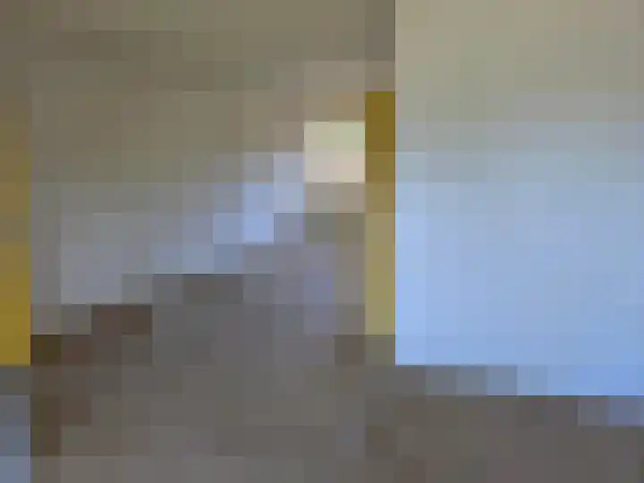 De Wilgen 6 Koekange thumbnail 4