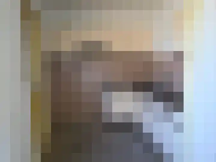 De Wilgen 6 Koekange thumbnail 6