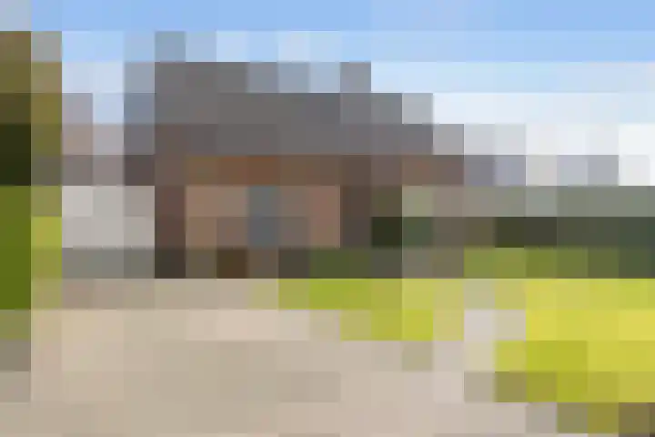 De Wilgen 8 Bedum thumbnail 4