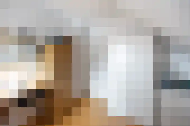 De Wilgen 8 Bedum thumbnail 48