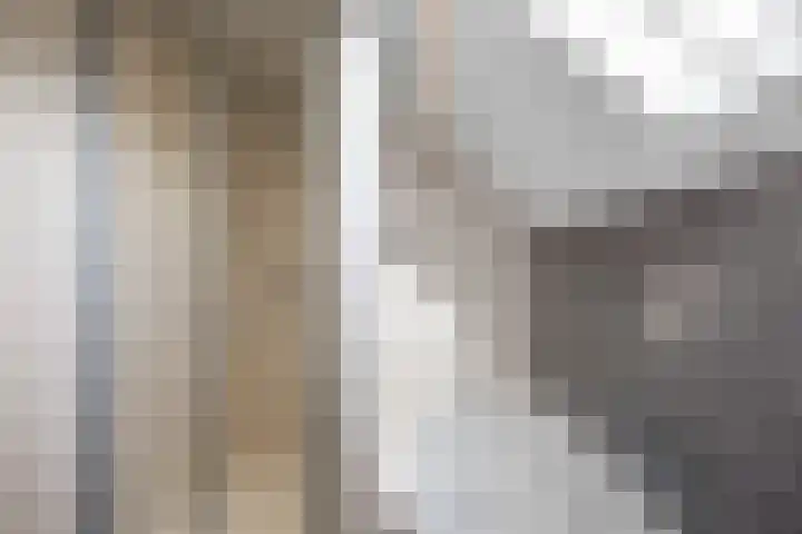 De Wilgen 8 Bedum thumbnail 51