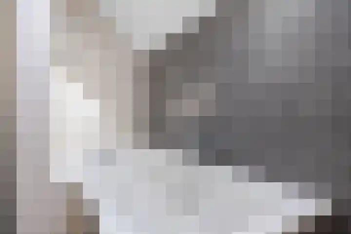 De Wilgen 8 Bedum thumbnail 52