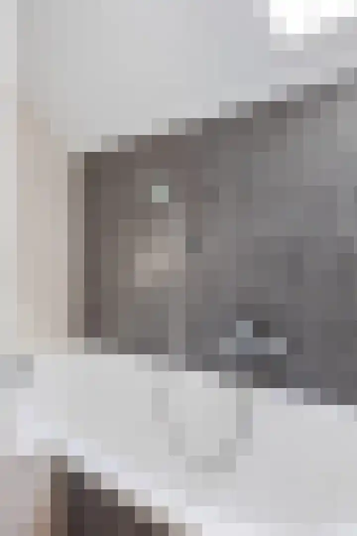 De Wilgen 8 Bedum thumbnail 54