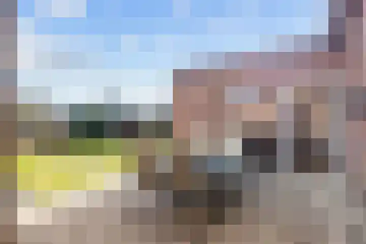 De Wilgen 8 Bedum thumbnail 56