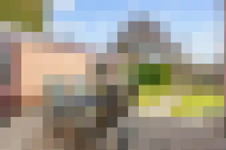 De Wilgen 8 Bedum thumbnail 57