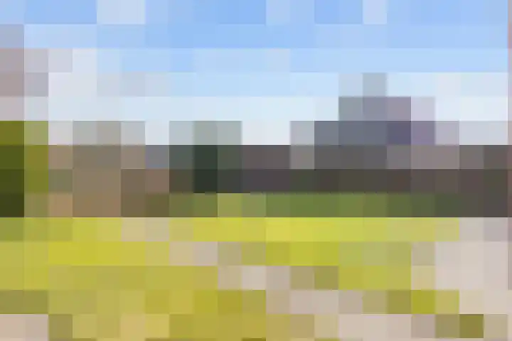 De Wilgen 8 Bedum thumbnail 58