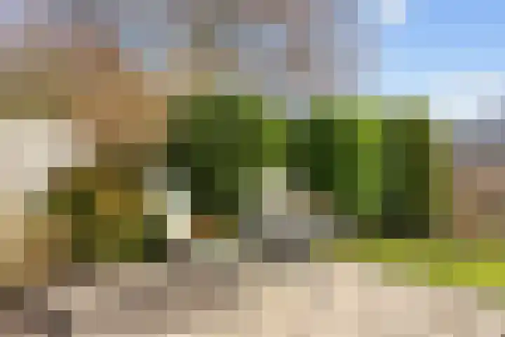 De Wilgen 8 Bedum thumbnail 60