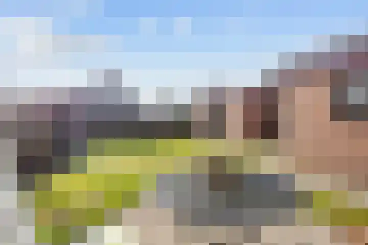 De Wilgen 8 Bedum thumbnail 61