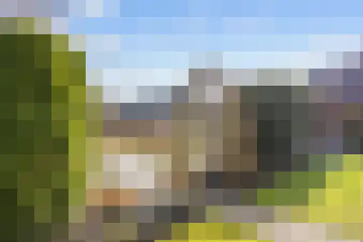 De Wilgen 8 Bedum thumbnail 62