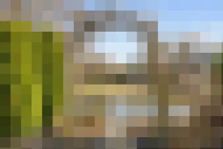 De Wilgen 8 Bedum thumbnail 63