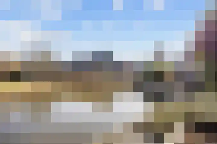 De Wilgen 8 Bedum thumbnail 64