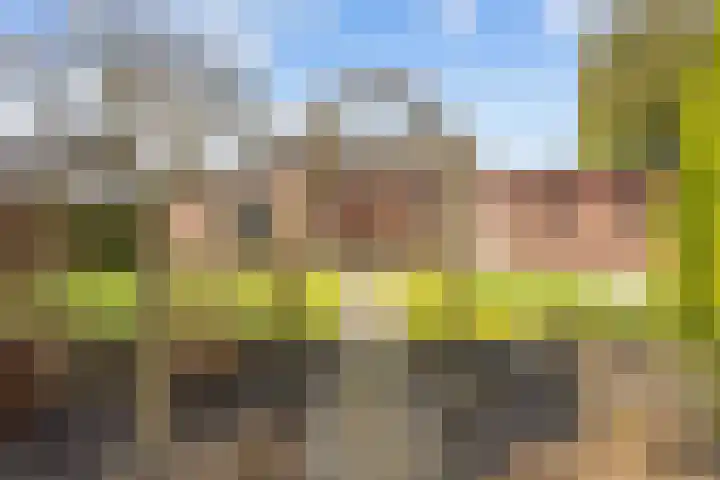 De Wilgen 8 Bedum thumbnail 65