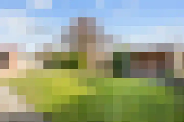 De Wilgen 8 Bedum thumbnail 66