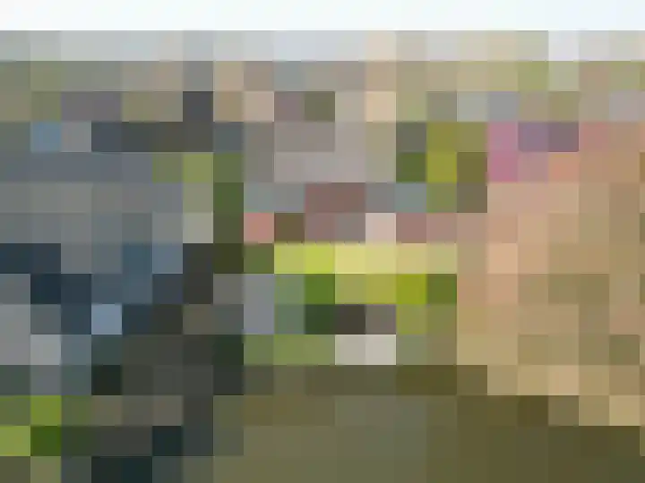 De Wilgen 8 Bedum thumbnail 70
