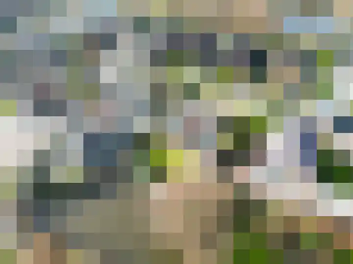 De Wilgen 8 Bedum thumbnail 71