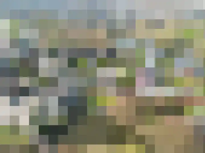 De Wilgen 8 Bedum thumbnail 72