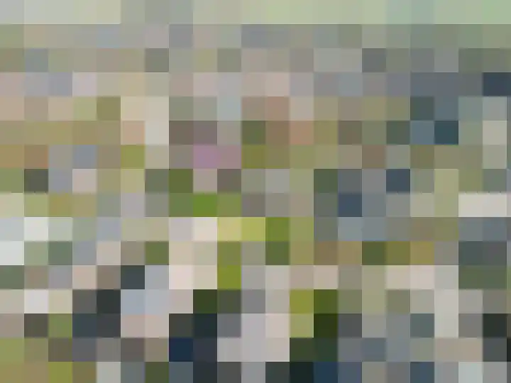De Wilgen 8 Bedum thumbnail 73