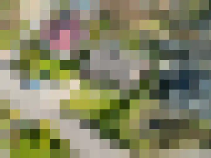 De Wilgen 8 Bedum thumbnail 74