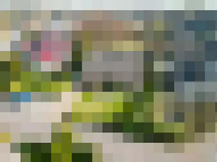 De Wilgen 8 Bedum thumbnail 75