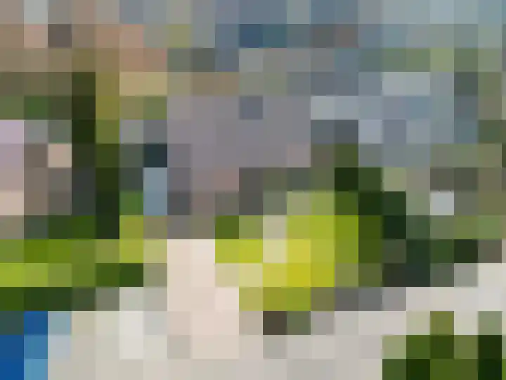De Wilgen 8 Bedum thumbnail 76