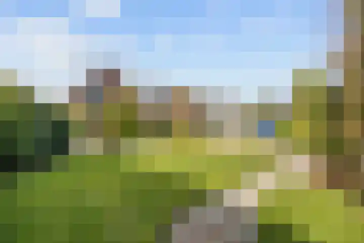De Wilgen 8 Bedum thumbnail 8