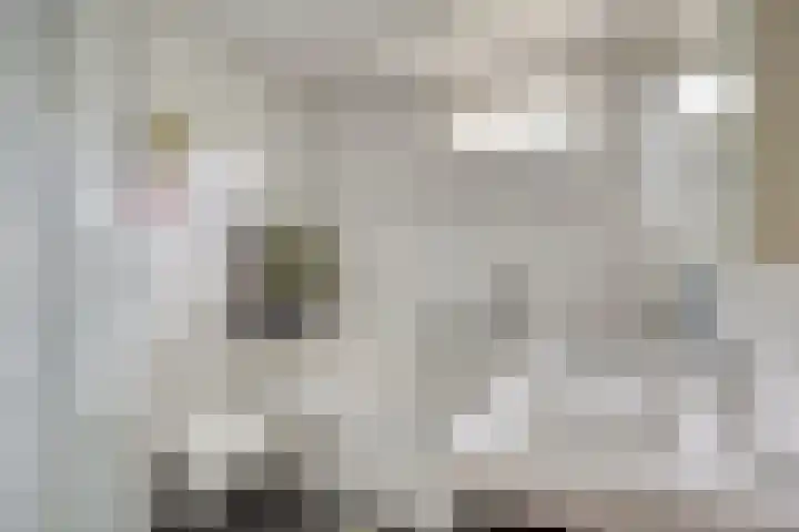 De Wilgen 8 Liempde thumbnail 14