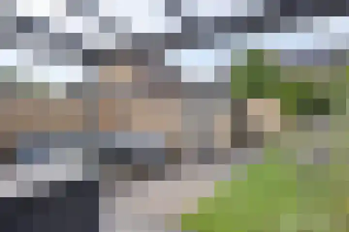 De Wilgen 8 Liempde thumbnail 18