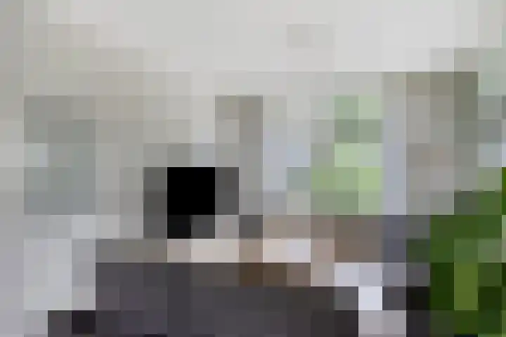 De Wilgen 8 Liempde thumbnail 4
